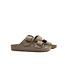 Birkenstock Arizona Big Buckle Gray Taupe