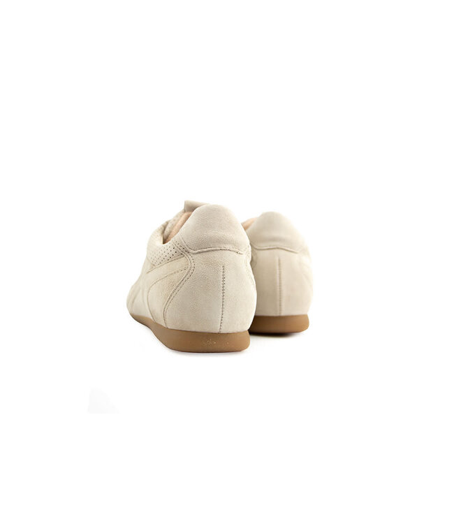 Gabor Sneaker Oak Samtchevreau