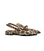 Via Vai Slingback Jazz Valerie Giaguaro Brown