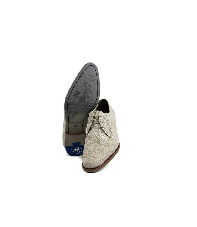 Floris van Bommel De Stapper 39.65 L.Brown