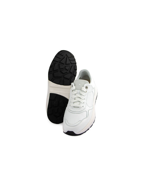 Xsensible Sneaker Rialto H White