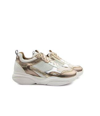 Xsensible Xsensible SWX28 HX Bronze Combi