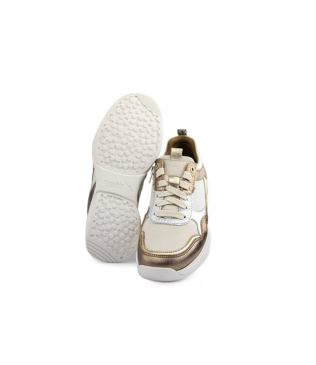 Xsensible SWX28 HX Bronze Combi