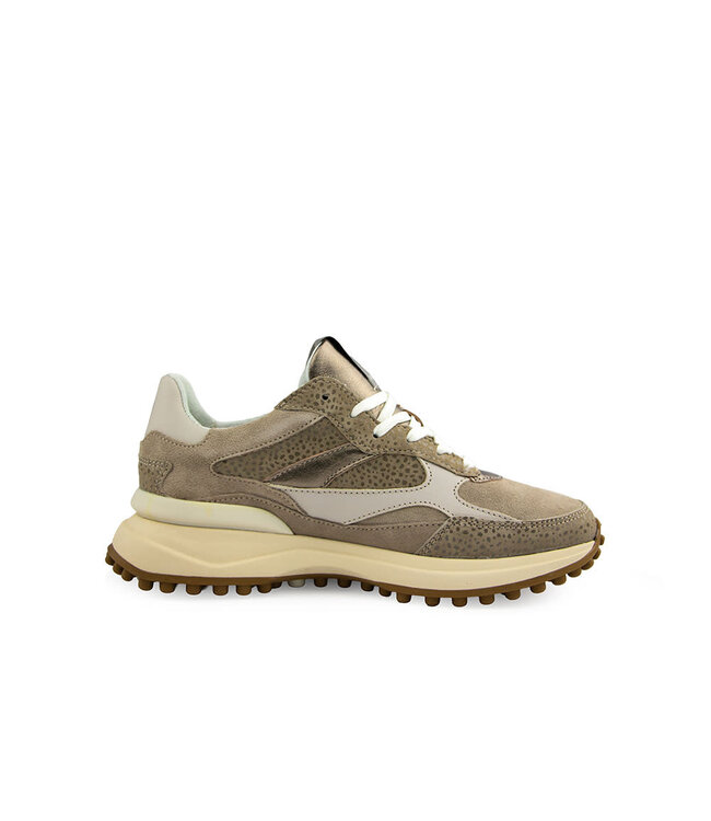 Floris van Bommel Noppi 41.07 Taupe