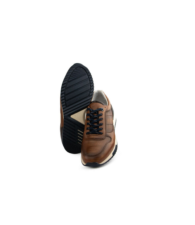 Berkelmans Sneaker Oyama Cognac Calf