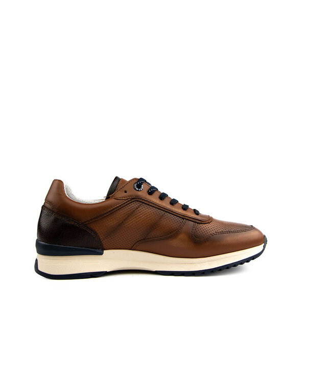 Berkelmans Sneaker Oyama Cognac Calf