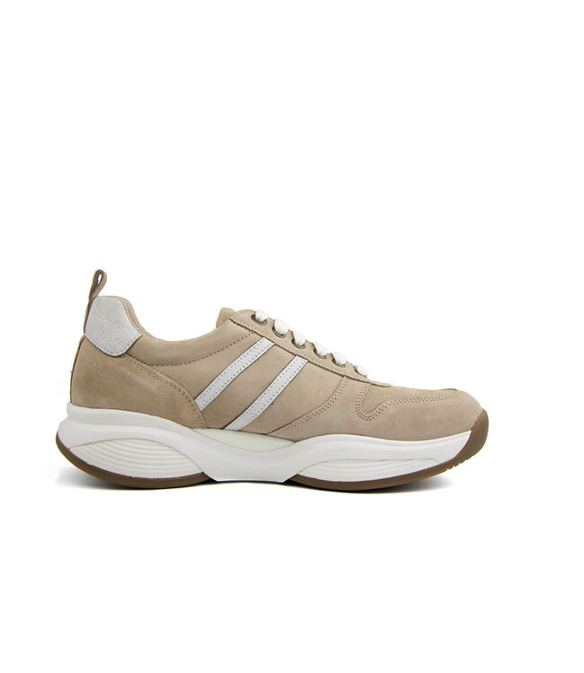 Xsensible SWX3 H Taupe Combi