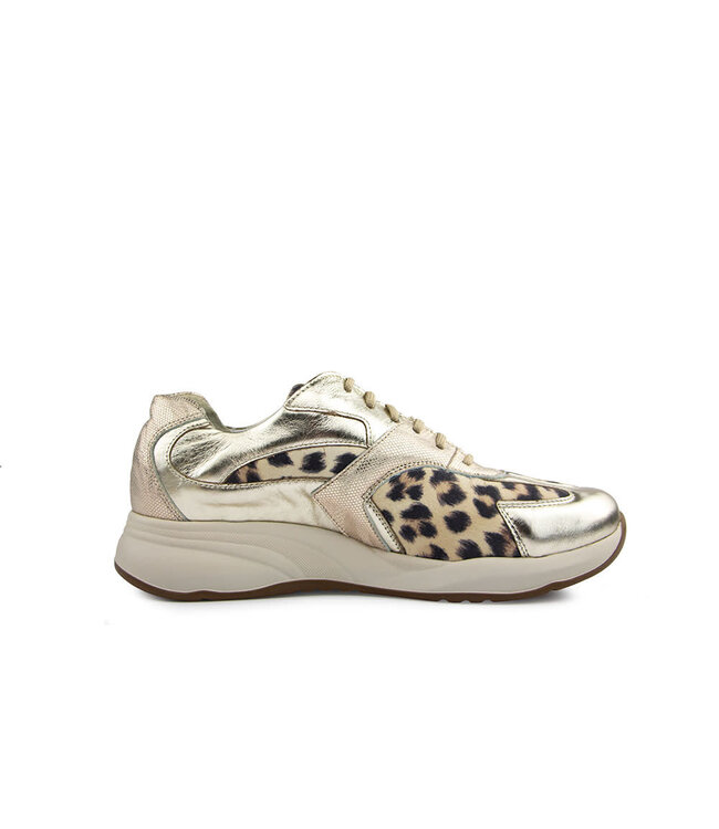 Durea Sneaker Platino Leopard Taupe