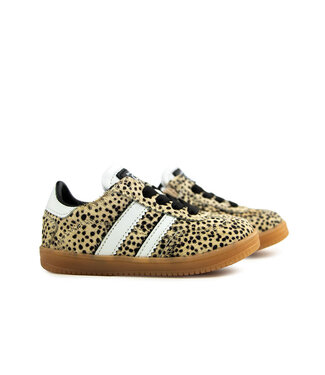 Pinocchio Pinocchio Sneaker Wit Dots Combi