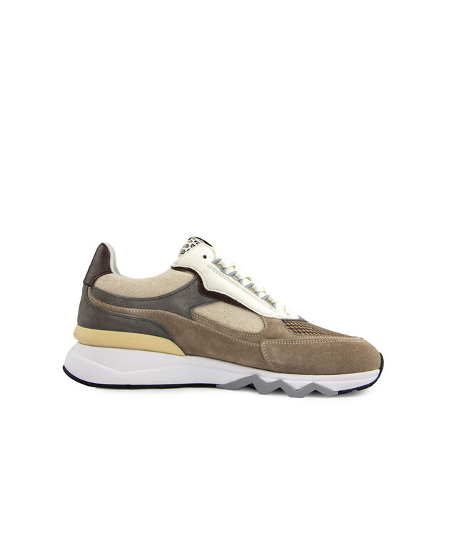 Floris van Bommel De Zager 12.08 L.Brown