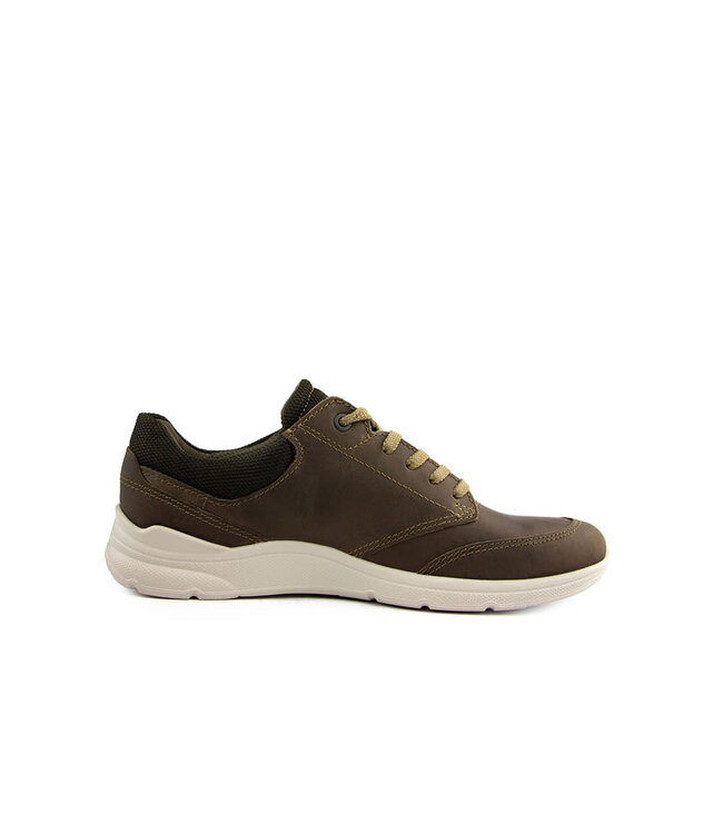 Ecco Veter Irving Nutmeg Brown