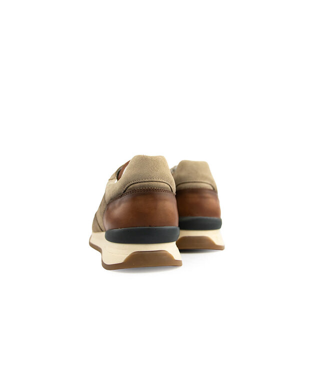 Berkelmans Sneaker Oyama Piedra Suede