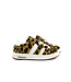 Pinocchio Sneaker Naturel Leopard Print