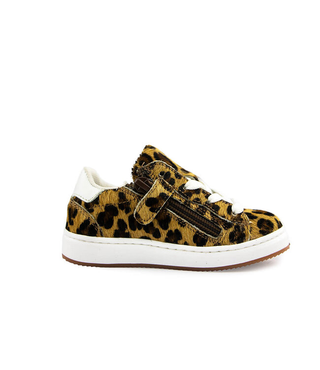 Pinocchio Sneaker Naturel Leopard Print