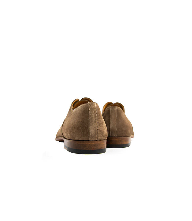 Magnanni Veter Corey Crostidifu Schore