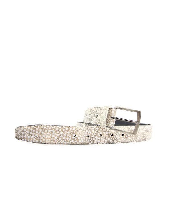 Floris van Bommel De Belter 24.93 L.Brown