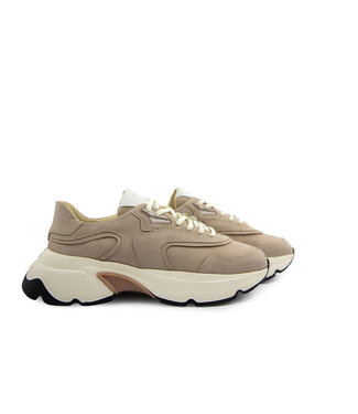 Nubikk Nubikk Ross Zay Taupe Leather