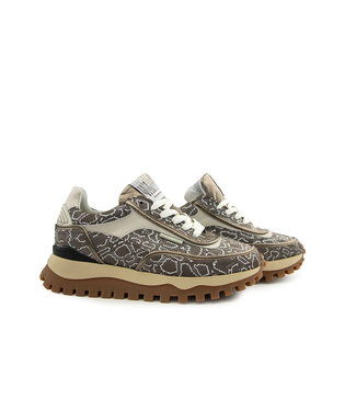 Floris van Bommel Floris van Bommel Grommi 02.13 Brown