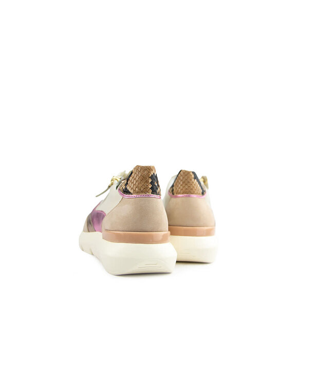 Hassia Bordeaux  Sneaker Creme Multi