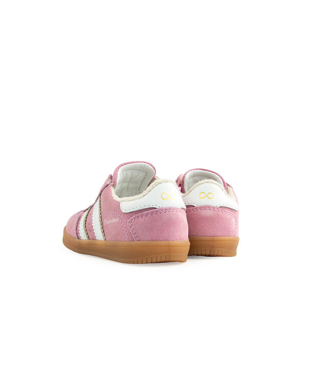 Pinocchio Sneaker Pink Suede Combi