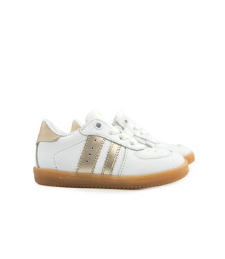 Pinocchio Pinocchio Sneaker White Gold Combi