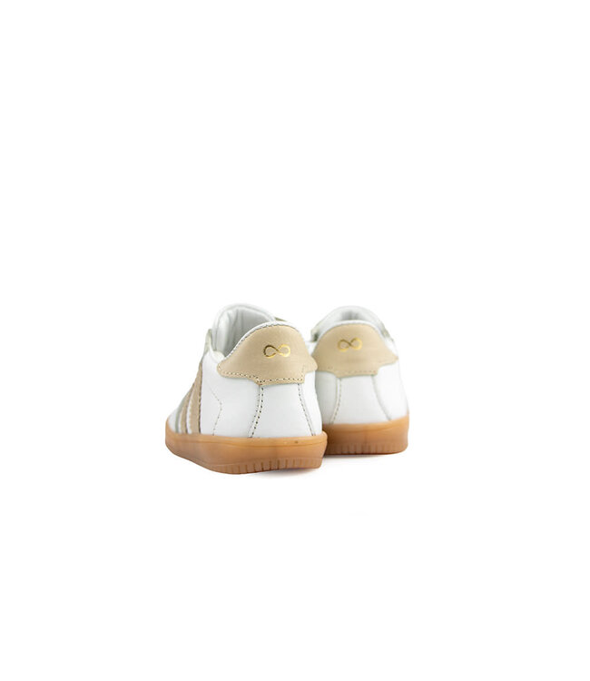 Pinocchio Sneaker White Gold Combi