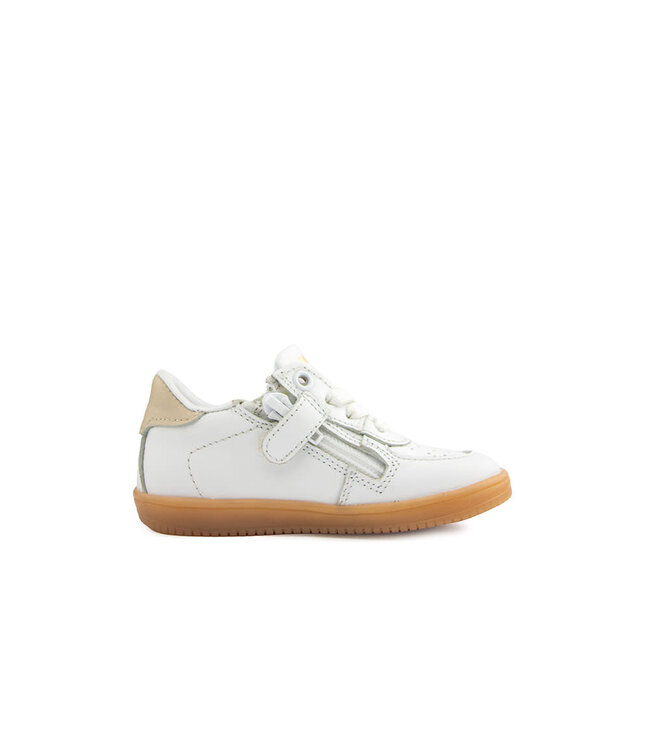 Pinocchio Sneaker White Gold Combi