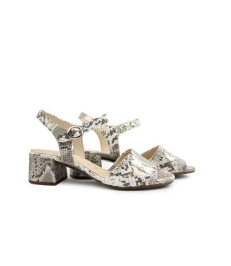 Gabor Gabor Sandaal Sage Snake Suprème