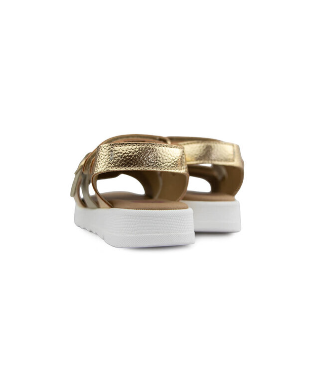 Develab Sandaal Gold Combi