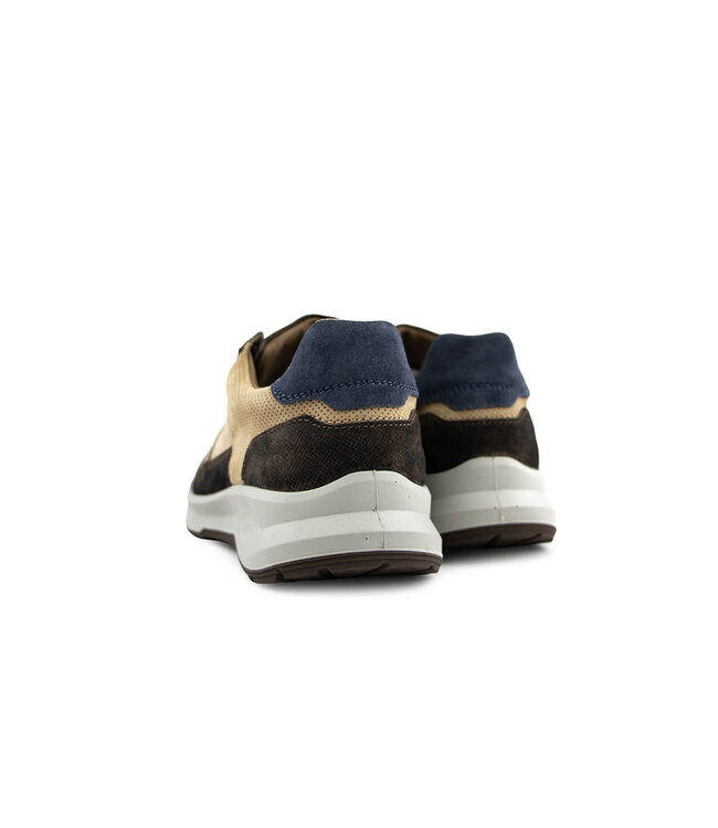 Xsensible Hudson H Brown Combi