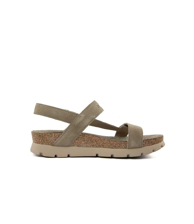 Panama Jack Sandaal Selma B43 Taupe Velour