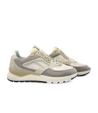 Floris van Bommel Floris van Bommel De Treener 01.36 L.Brown