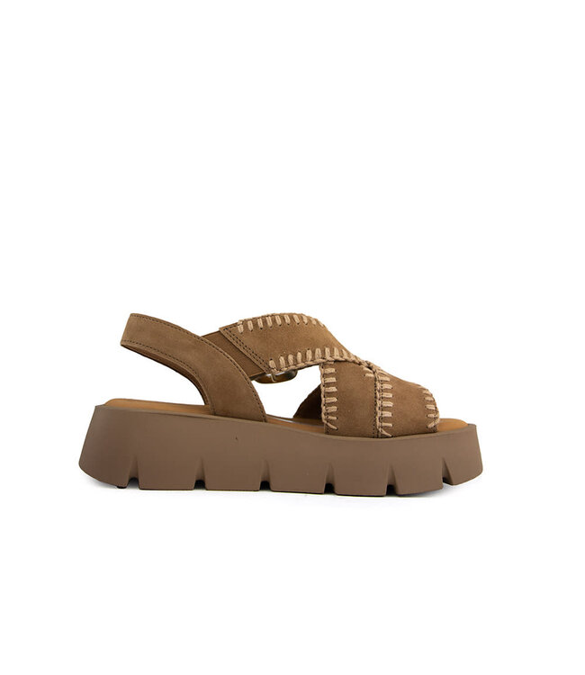 Gabor Sandaal Sattel Samtchevrau