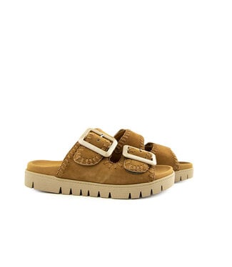 Gabor Gabor Slipper Sattel Samtchevreau