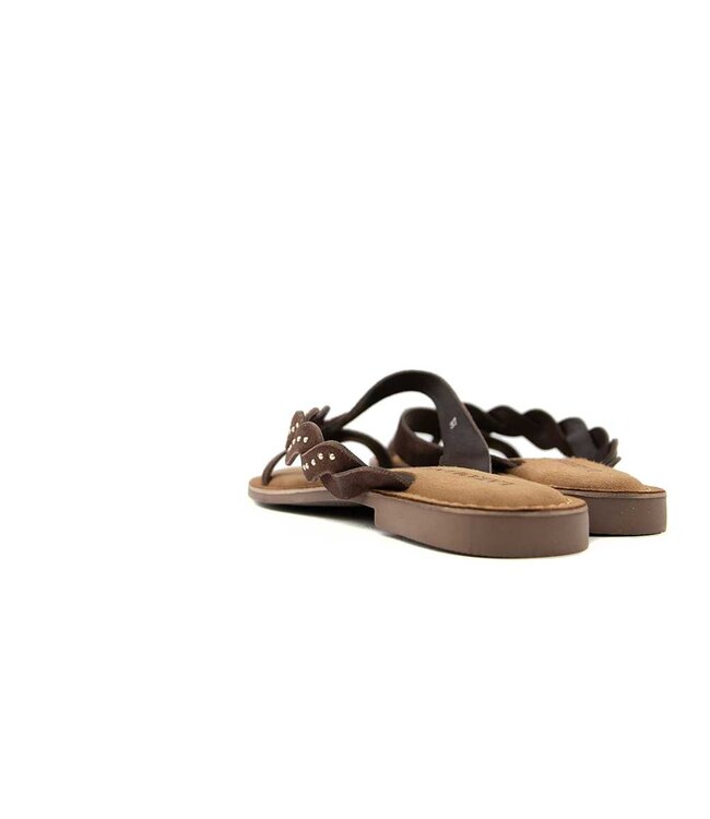 Lazamani Lena toe Slippers Small Studs Brown