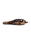 Lazamani Lena toe Slippers Small Studs Brown