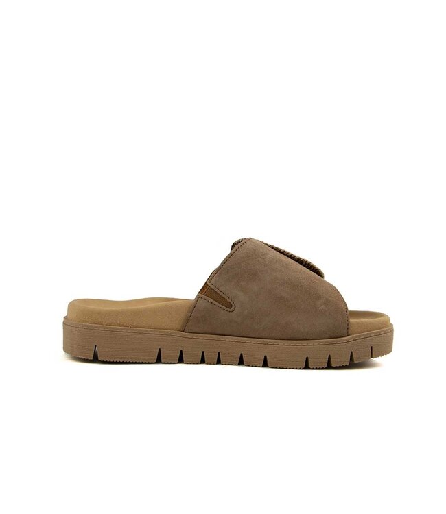 Gabor Slipper Peanut Samtchevreau
