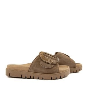 Gabor Gabor Slipper Peanut Samtchevreau