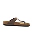 Birkenstock Gizeh BS Mocca Regular