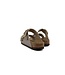 Birkenstock Arizona Big Buckle Graceful Taupe Narrow