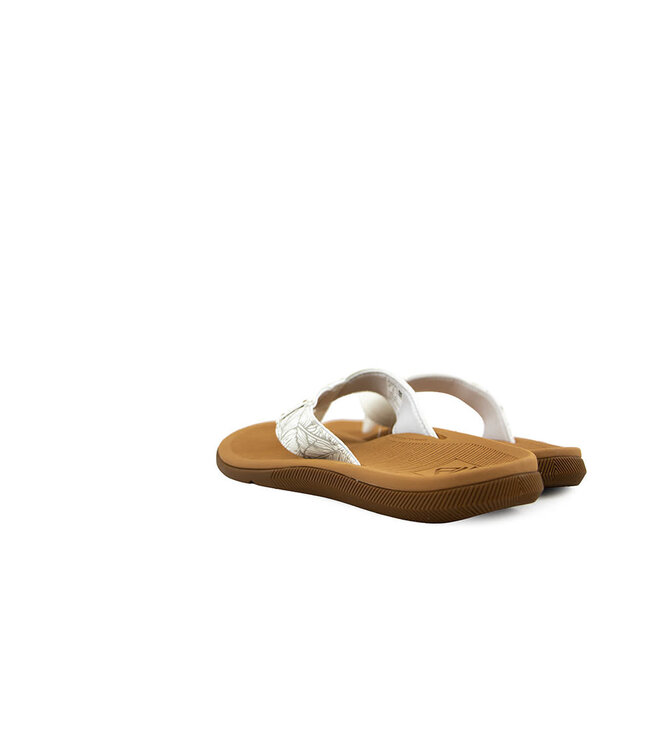 Reef Santa Ana Cloud