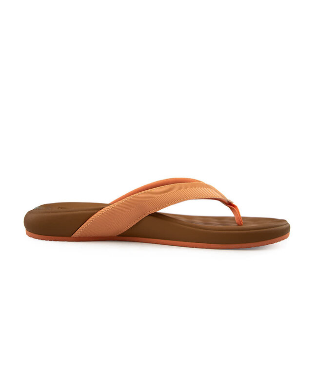 Reef Cushion Melody Canyon Sunset Lion