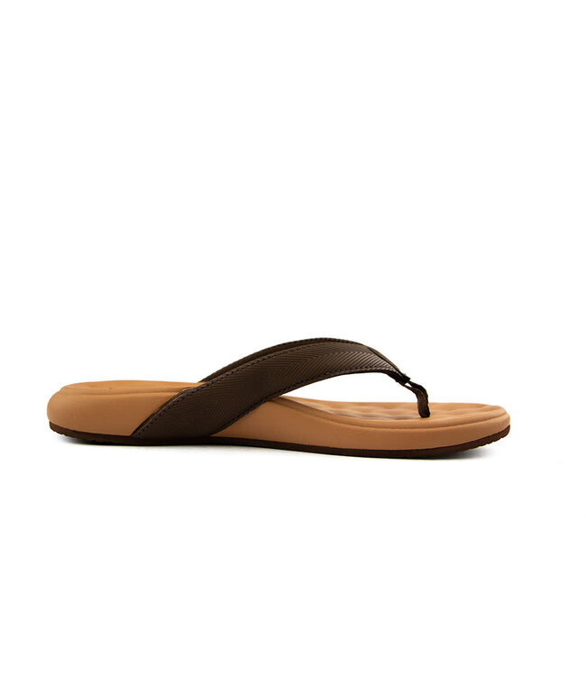 Reef Cushion Melody Chocolate Lion