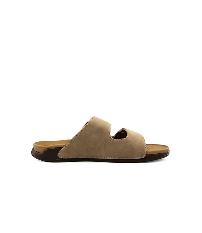 Reef Phantom Tradewind Tan