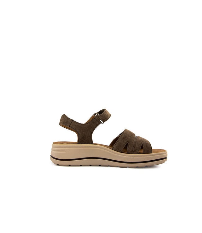 Hartjes Sandaal Woogie Stone Velour
