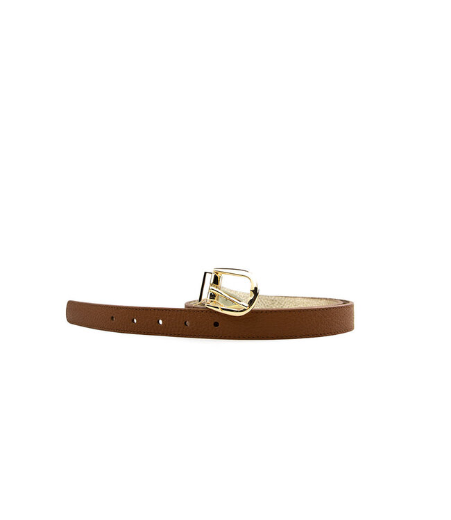 HAN Riem Parvine Antilope Goud