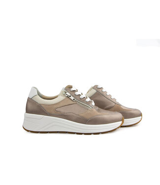 Solidus Solidus Sneaker Karma Champagne Multi K