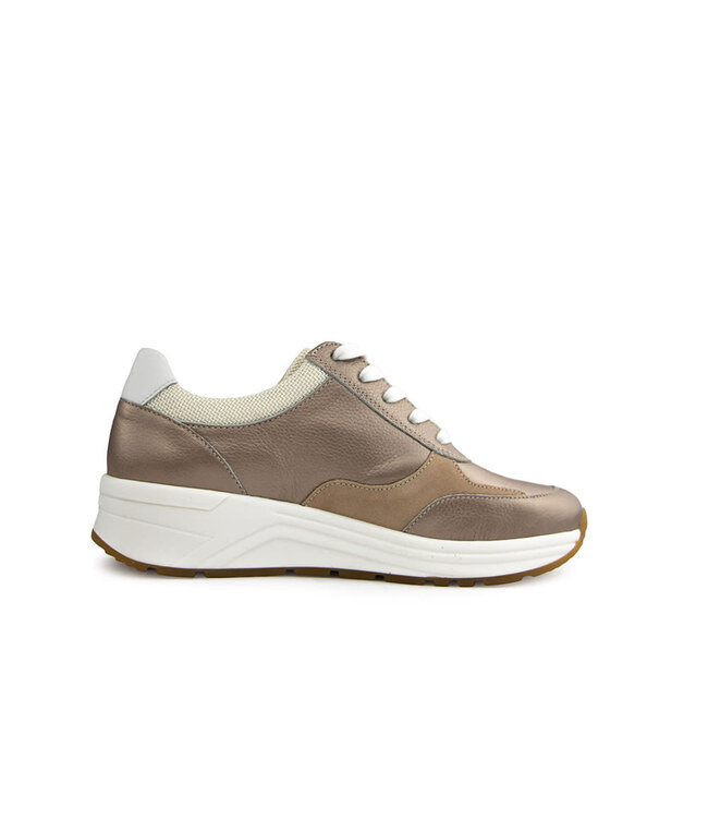 Solidus Sneaker Karma Champagne Multi