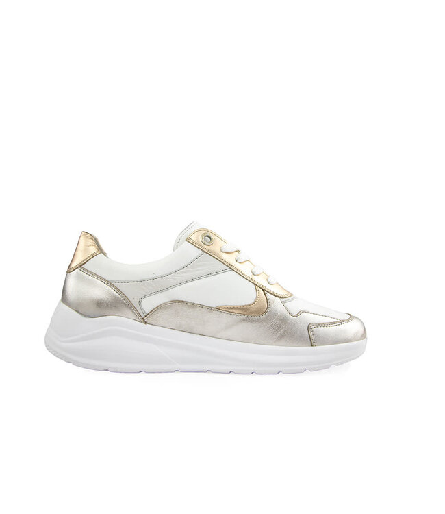 Solidus Sneaker Kitty Silver Multi H+K