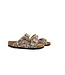 Birkenstock Arizona BS Leo Sandcastle Regular